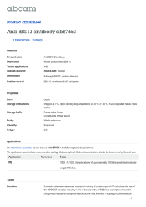 Anti-BBS12 antibody ab67659 Product datasheet 1 References 1 Image