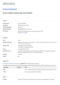 Anti-CART antibody ab192364 Product datasheet Overview Product name