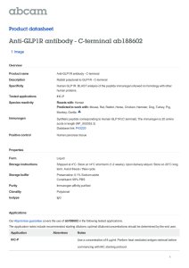 Anti-GLP1R antibody - C-terminal ab188602 Product datasheet 1 Image Overview
