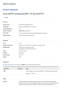 Anti-SAP97 antibody [RPI 197.4] ab69737 Product datasheet 1 Image Overview