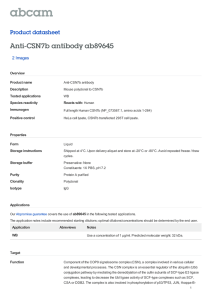 Anti-CSN7b antibody ab89645 Product datasheet 2 Images Overview