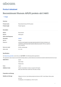 Recombinant Human APLP2 protein ab114601 Product datasheet 1 Image Overview