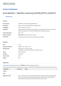 Anti-MAP2a + MAP2b antibody [AP20] (FITC) ab24279 Product datasheet 3 References Overview