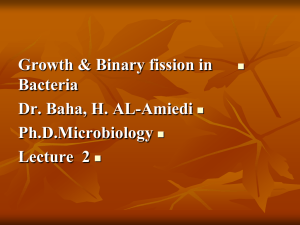 Growth &amp; Binary fission in  Bacteria Dr. Baha, H. AL-Amiedi