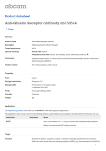Anti-Ghrelin Receptor antibody ab150514 Product datasheet 1 Image