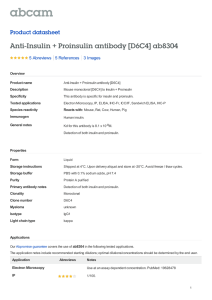 Anti-Insulin + Proinsulin antibody [D6C4] ab8304 Product datasheet 5 Abreviews 3 Images