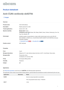 Anti-CLN6 antibody ab82786 Product datasheet 2 Images