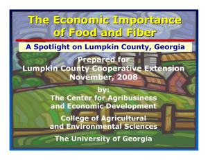 The Economic Importance of Food and Fiber Prepared for Lumpkin County Cooperative Extension