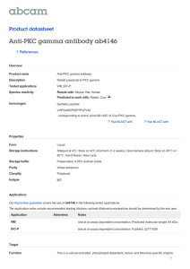 Anti-PKC gamma antibody ab4146 Product datasheet 1 References