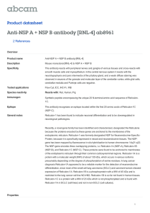 Anti-NSP A + NSP B antibody [RNL-4] ab8961 Product datasheet 2 References Overview