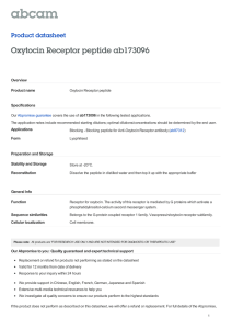 Oxytocin Receptor peptide ab173096 Product datasheet Overview Product name