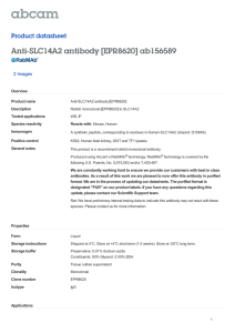 Anti-SLC14A2 antibody [EPR8620] ab156589 Product datasheet 2 Images Overview