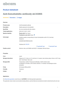 Anti-Somatostatin antibody ab183855 Product datasheet 1 Abreviews 2 Images