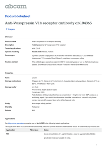 Anti-Vasopressin V1b receptor antibody ab104365 Product datasheet 2 Images Overview