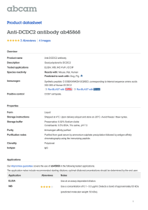 Anti-DCDC2 antibody ab45868 Product datasheet 3 Abreviews 4 Images