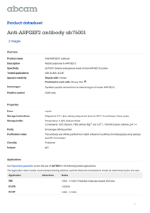 Anti-ARFGEF2 antibody ab75001 Product datasheet 2 Images Overview