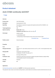 Anti-CCM2 antibody ab53557 Product datasheet 1 Image Overview