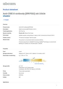 Anti-CHX10 antibody [EPR7022] ab133636 Product datasheet 3 Images Overview