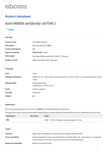 Anti-NME4 antibody ab70411 Product datasheet 1 Image