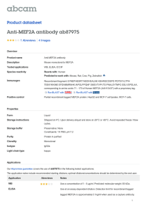 Anti-MEF2A antibody ab87975 Product datasheet 1 Abreviews 4 Images