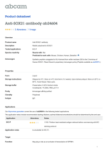 Anti-SOX21 antibody ab24604 Product datasheet 3 Abreviews 1 Image