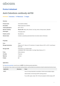Anti-Calretinin antibody ab702 Product datasheet 1 Abreviews 3 Images