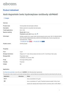Anti-Aspartate beta hydroxylase antibody ab94660 Product datasheet 2 Images Overview