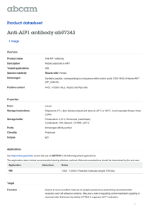 Anti-AIP1 antibody ab97343 Product datasheet 1 Image Overview