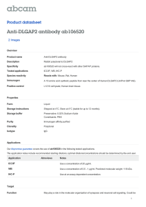Anti-DLGAP2 antibody ab106520 Product datasheet 2 Images Overview