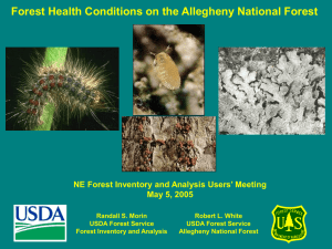 Forest Health Conditions on the Allegheny National Forest May 5, 2005