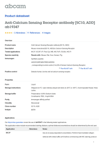 Anti-Calcium Sensing Receptor antibody [5C10, ADD] ab19347