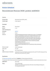 Recombinant Human ROR1 protein ab203533 Product datasheet Overview Product name