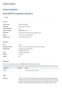 Anti-PDE7B antibody ab61812 Product datasheet 1 Image Overview