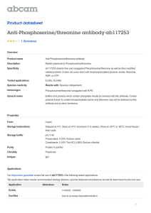 Anti-Phosphoserine/threonine antibody ab117253 Product datasheet 1 Abreviews Overview