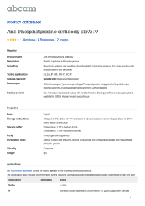 Anti-Phosphotyrosine antibody ab9319 Product datasheet 1 Abreviews 2 Images