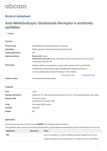 Anti-Metabotropic Glutamate Receptor 6 antibody ab90866