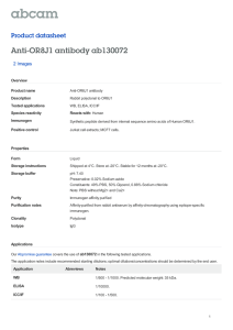 Anti-OR8J1 antibody ab130072 Product datasheet 2 Images Overview