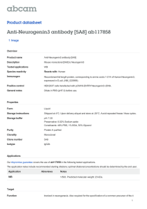 Anti-Neurogenin3 antibody [5A8] ab117858 Product datasheet 1 Image Overview