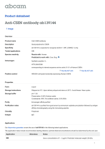 Anti-CSEN antibody ab139144 Product datasheet 1 Image Overview