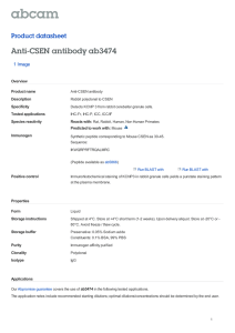Anti-CSEN antibody ab3474 Product datasheet 1 Image Overview