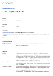 KCNE1 peptide ab151760 Product datasheet Overview Product name