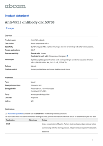 Anti-VRL1 antibody ab150738 Product datasheet 2 Images Overview