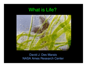 What is Life? David J. Des Marais NASA Ames Research Center