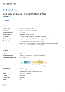 Anti-p39 antibody [EPR5075(2)] ab129196 Product datasheet 2 Images Overview