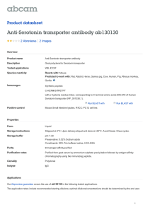 Anti-Serotonin transporter antibody ab130130 Product datasheet 2 Abreviews 2 Images