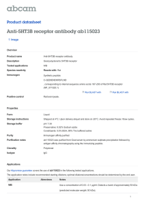 Anti-5HT3B receptor antibody ab115023 Product datasheet 1 Image Overview