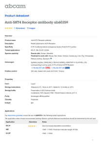 Anti-5HT4 Receptor antibody ab60359 Product datasheet 1 Abreviews 3 Images