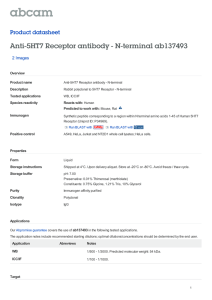 Anti-5HT7 Receptor antibody - N-terminal ab137493 Product datasheet 2 Images Overview