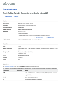 Anti-Delta Opioid Receptor antibody ab66317 Product datasheet 1 References 2 Images