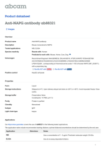 Anti-NAPG antibody ab88321 Product datasheet 2 Images